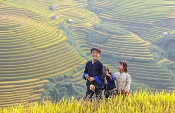 Rizières En Terrasse Ha Giang - Choses à Faire Au Nord Vietnam