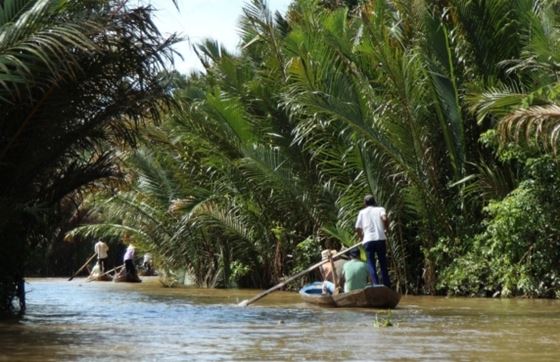Que Faire à Ben Tre En Famille ? 8 Activités à Faire Avec Des Enfants