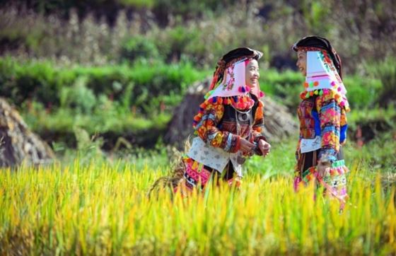 Que Savoir Sur Ha Giang Guide Voyage Complet Au Vietnam ?