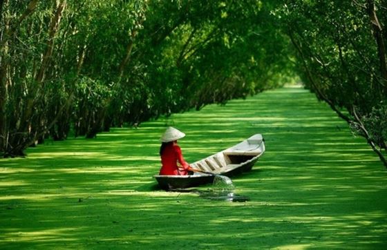 Opinion Sur L'itinéraire 5 Jours à Tien Giang Vietnam Par Mme Karine