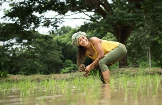Récit Complet De Mon Voyage Agricole En Thaïlande 3 Jours