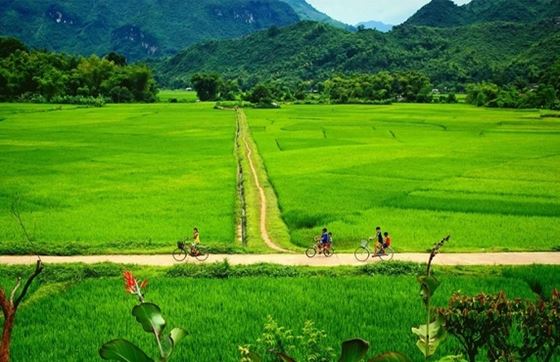 Avis D’une Semaine à Mai Chau Pu Luong Tam Coc Halong Par Mr. Kelly