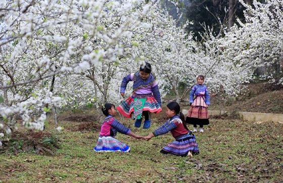 Avis Sur L'itinéraire 1 Semaine à Sapa Bac Ha Vietnam Par Laurine