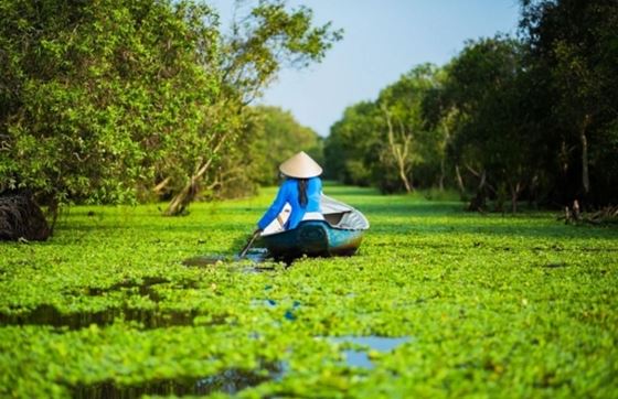 Explorez L’itinéraire 2 Semaines Au Sud Vietnam