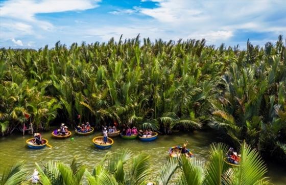 Que Faire à Ben Tre Vietnam? Avis Sur 2 Jours à Ben Tre De Mme Brown 