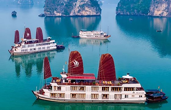 Voyager Au Vietnam: La Meilleur Période Et Les Informations Utiles