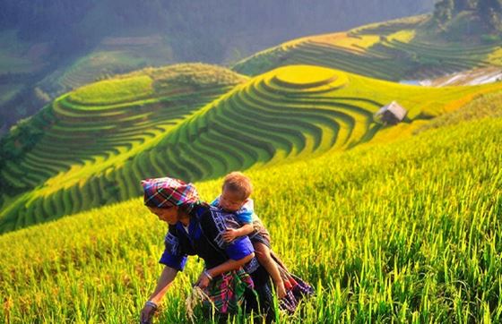 Questions Et Réponses Fréquentes Du Voyage Au Vietnam (FAQs)