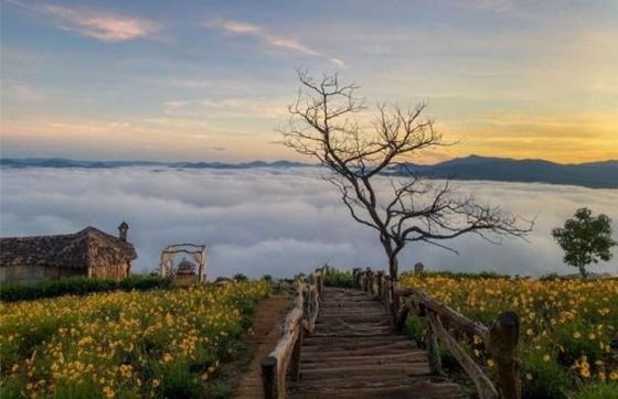 Circuit Da Lat Nha Trang 4 Jours - Recommandations De M. Albert 