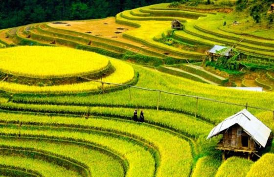 Yen Bai En 5 Jours : Avis Sur L’itinéraire Au Nord Vietnam De M. Diop