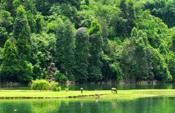 Prenez Un Voyage Pour Visiter Le Parc National De Ba Be