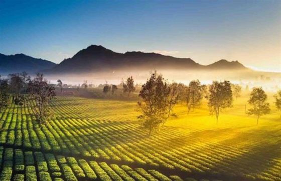 Avis De 5 Jours Aux Hauts Plateaux Du Centre Vietnam Par M. Hamid