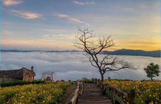 Jugement De 2 Semaines Aux Hauts Plateaux Du Centre Sud Vietnam Par Garo