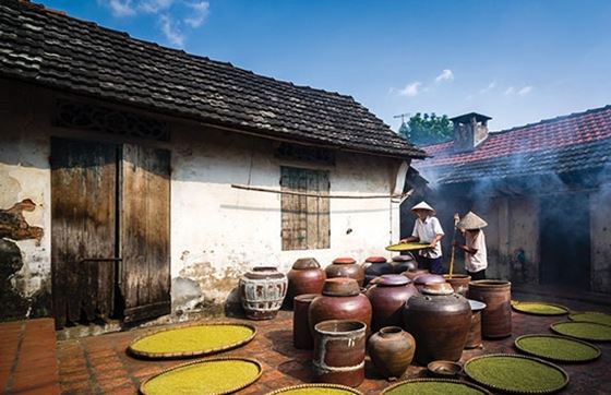 Que Faire à Hanoi ? Visite Du Village Duong Lam Hanoï