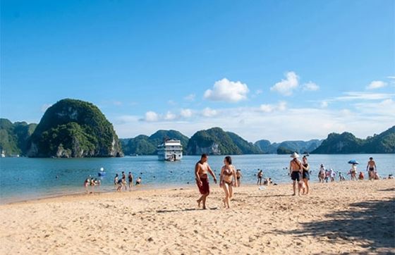 Le Guide Ultime Pour Votre Aventure Sur L'île Titov
