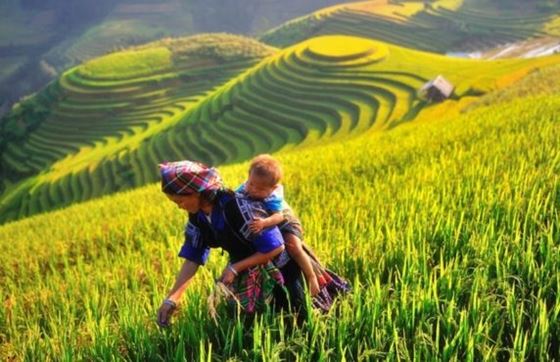 Que Faire à Yen Bai 3 Jours? Avis D’itinéraire Nord Vietnam De M. Mike