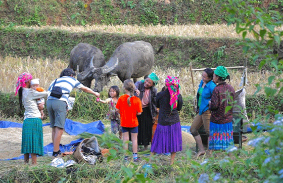 Top 09 Meilleurs Choses à Faire Au Lac Ba Be, Vietnam