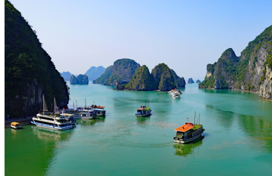 Avis Sur Croisière Demi-journée Baie D’Halong Par M. DUBOIS