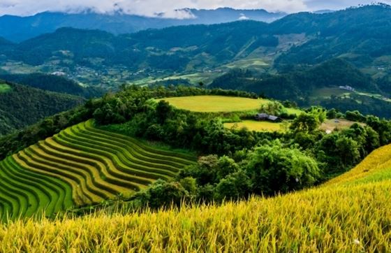 Que Faire Au Vietnam En 10 Jours ? Le Meilleur Itinéraire De Voyage Sur Mesure