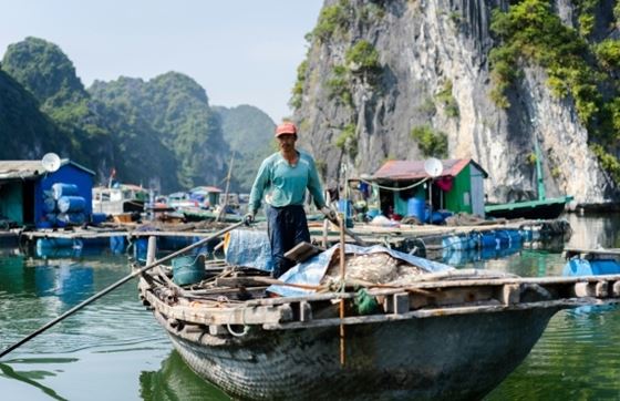 Découverte Le Village Flottant De Cai Beo Sur L'île De Cat Ba