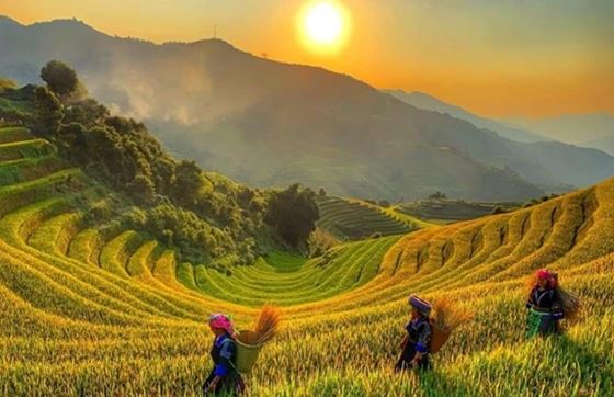 Mu Cang Chai Vietnam: Pourquoi Visiter, Que Faire, Conseils De Voyage Et FAQ? 