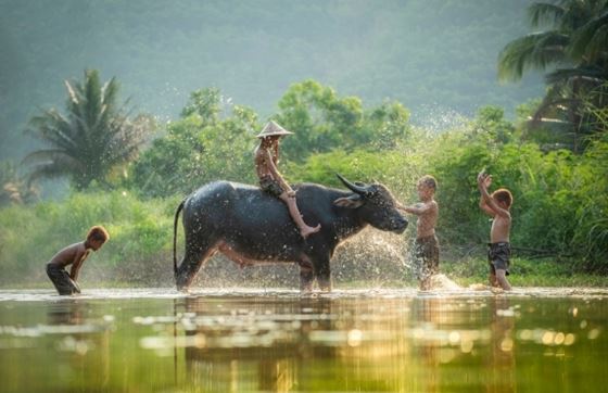 Nom De Famille Vietnam : Guide Pour Découvrir La Culture Du Vietnam