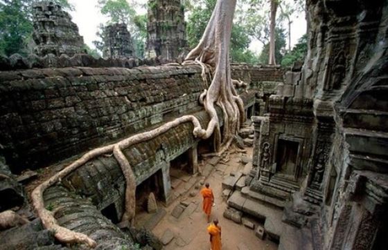 Que Faire Au Cambodge? Visiter Le Temple De Ta Prohm Dans Le Complexe D'Angkor