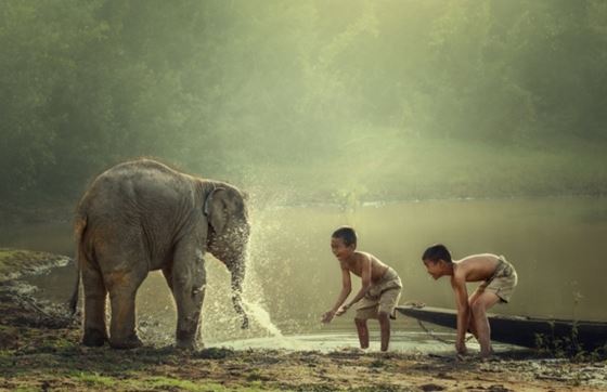 Voyage Privé Dernière Minute Au Laos : Voyage Sur Mesure Au Laos