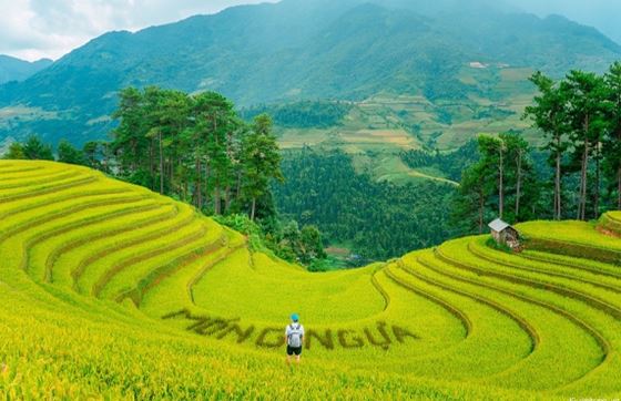 Tu Le Ou Mu Cang Chai? Quel Est Le Meilleur Choix Pour Votre Voyage à Yen Bai?