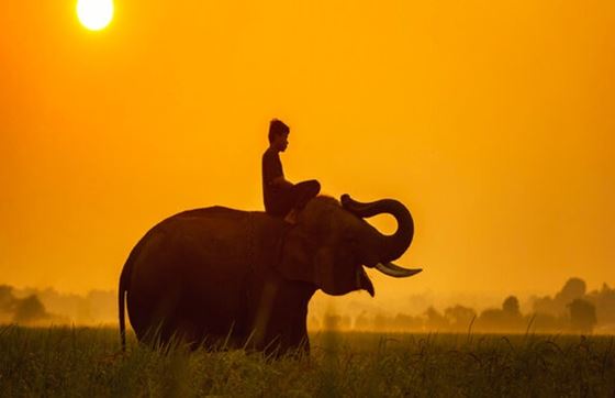 Circuits Au Cambodge : Voyage Privé Dernière Minute Au Cambodge
