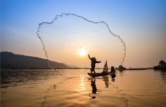 Que Faire à Cai Be? Top 07 Des Meilleures Choses à Faire à Cai Be, Vietnam