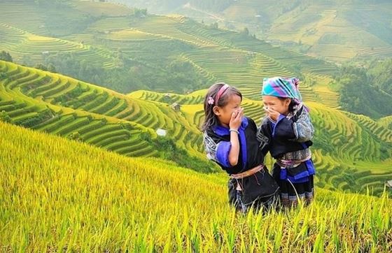Vallée De Tu Le: Un Guide Complet Pour Votre Visite à Tu Le Vietnam