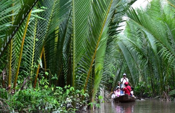 Découvrez Le Marché Flottant De Cai Be Et L'îlot Tan Phong, Tien Giang, Vietnam
