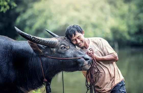 Les Kinh Vietnam: Informations Utiles Pour Découvrir La Culture Du Vietnam