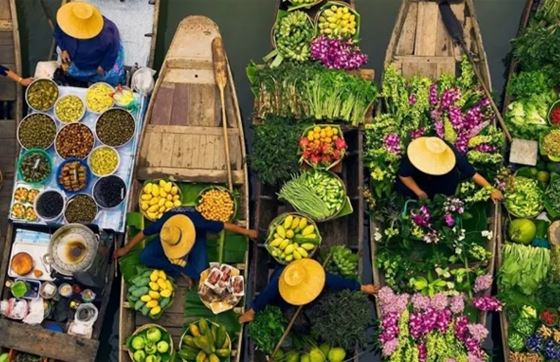 Opinion De Voyage 7 Jours à Bangkok Et Chiang Mai Thaïlande Par M.Silas