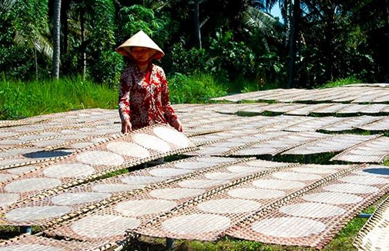 Que Faire à Ben Tre ? Visiter Le Village D'artisanat Du Papier De Riz De My Long à Ben Tre, Vietnam