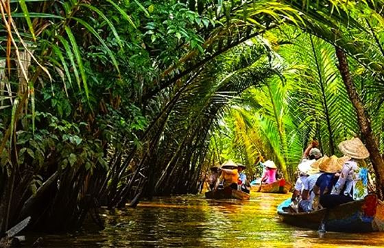 Meilleure Période Pour Visiter Ben Tre, Vietnam : Guide De Voyage Rapide Au Terrain Des Cocotiers
