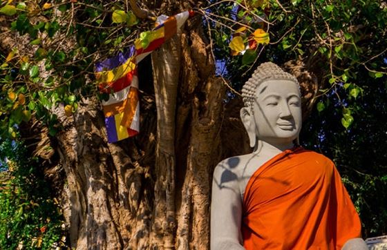Que Faire à Phnom Penh En 1 Jour ? Avis Sur La Visite De La Ville Avec Mme Mabel