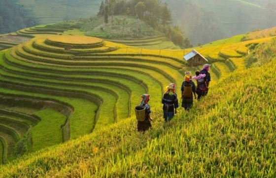 Est-ce Que 2000 Euros Suffisent Pour 3 Semaines Au Vietnam ?