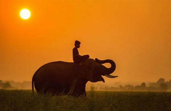 Que Faire à Siem Reap? Les 10 Meilleures Choses à Faire Et à Voir à Siem Reap, Au Cambodge