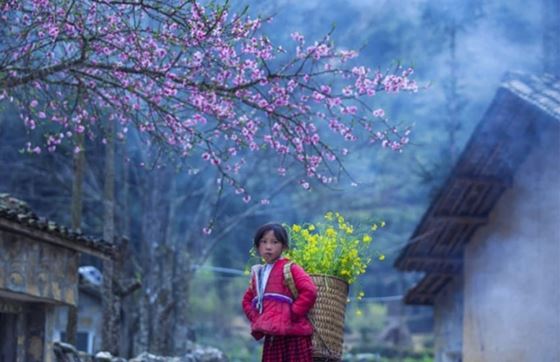 Remarques Pour Voyage Cao Bang Ha Giang Sapa 6 Jours Par Mr. Radley