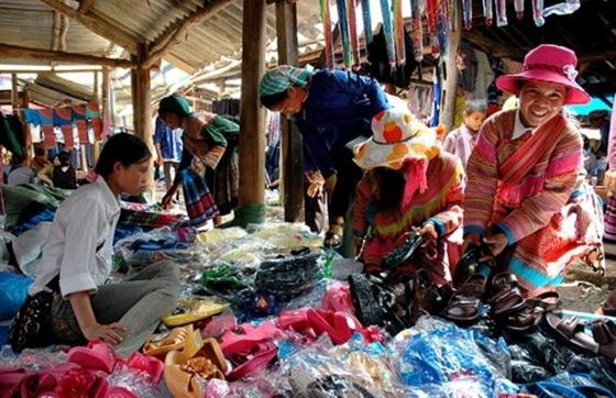 Rencontrez Les Enthies Au Marché De Châu Sapa Avec M. Cédric GALLET
