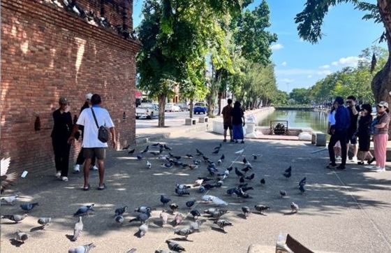 Vacances Toussaint En Famille Tout Compris En Thaïlande