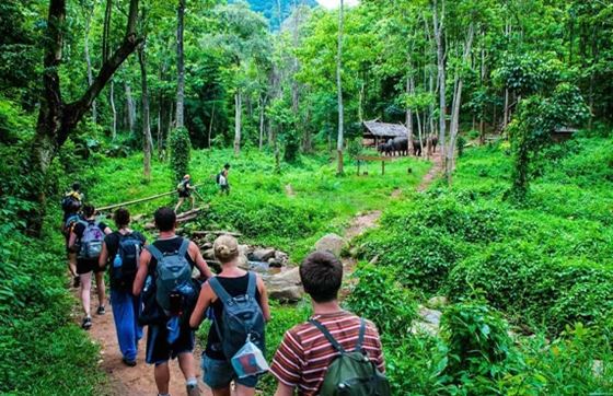 Découvrez Les Meilleures Destinations Pour Faire Du Trek à Chiang Mai