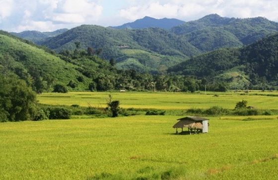 Que Faire à Chiang Rai Thaïlande Quand Il Pleut?