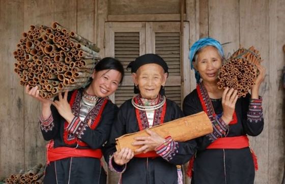 Marché De Coc Ly : Incontournable Pour Votre Voyage à Sapa Vietnam