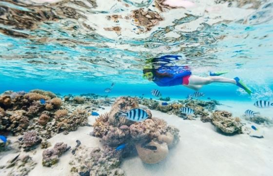 Combien Coûte Le Snorkeling Dans Le Nord Du Vietnam ?
