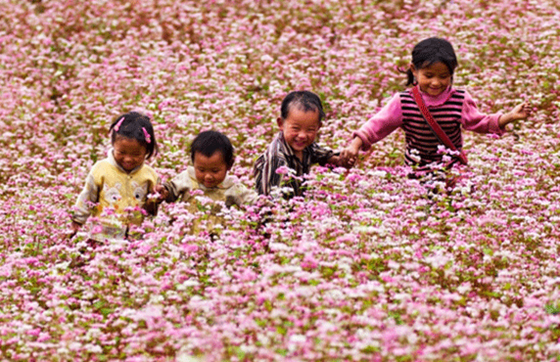 Ha Giang Viet Nam: Top 13 Sites Incontournables à Visiter