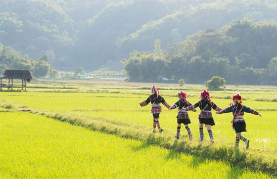 Où Visiter En Thaïlande Pour Voir Les Ethnies? Un Voyage Culturel Authentique
