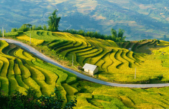 Que Faire à Pu Luong Thanh Hoa, Vietnam ?