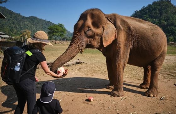 Que Faire à Chiang Rai En Famille? Activités à Chiang Rai Avec Des Enfants